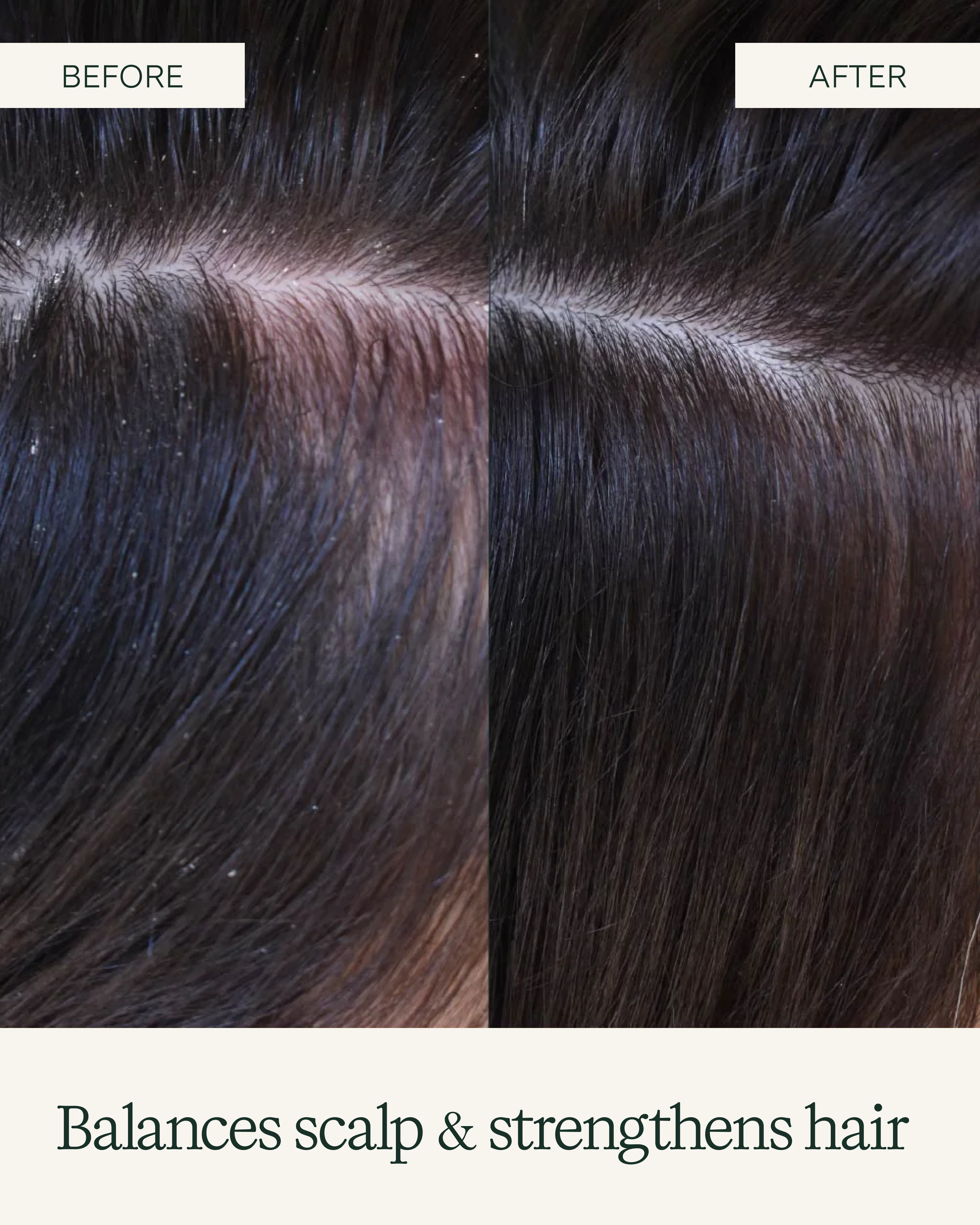 Aloe Vera Conditioner - Image 6