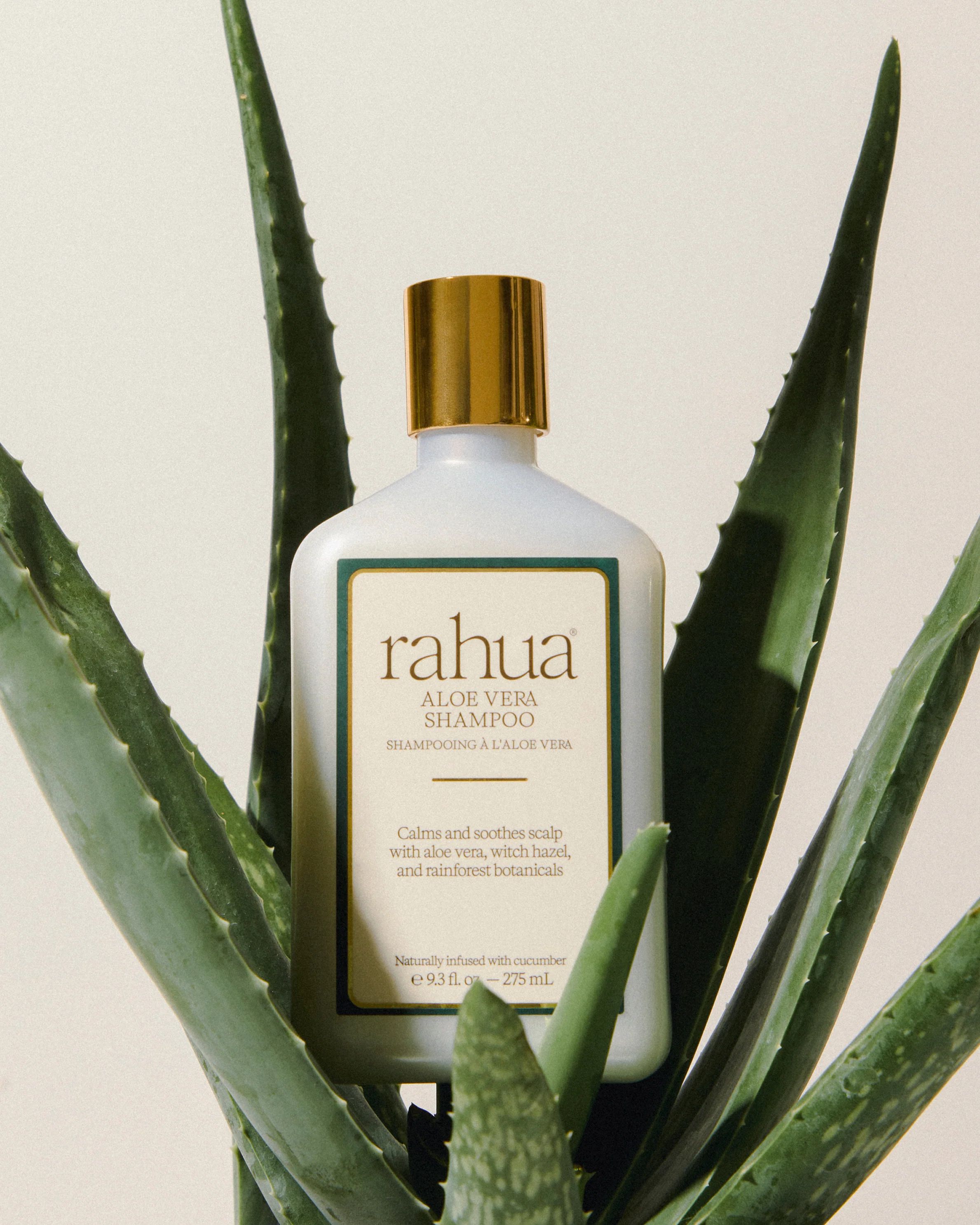 Aloe Vera Shampoo - Image 8