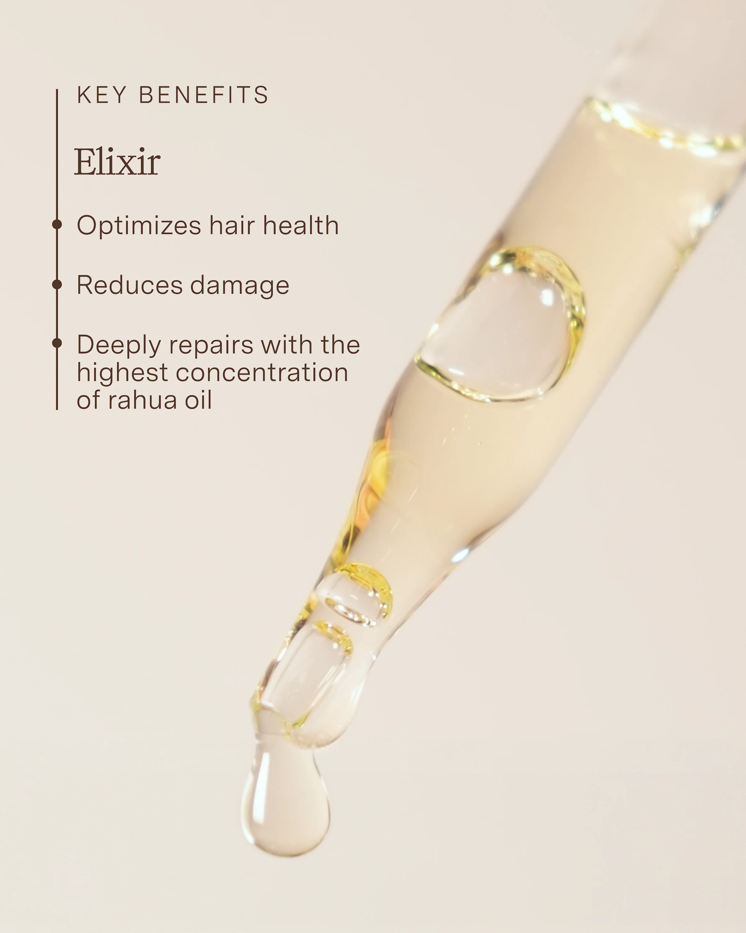 Elixir - Image 4