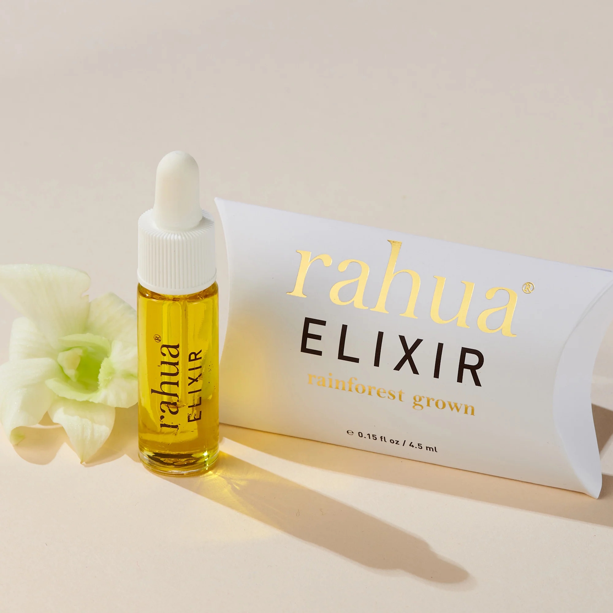 Elixir - Image 9
