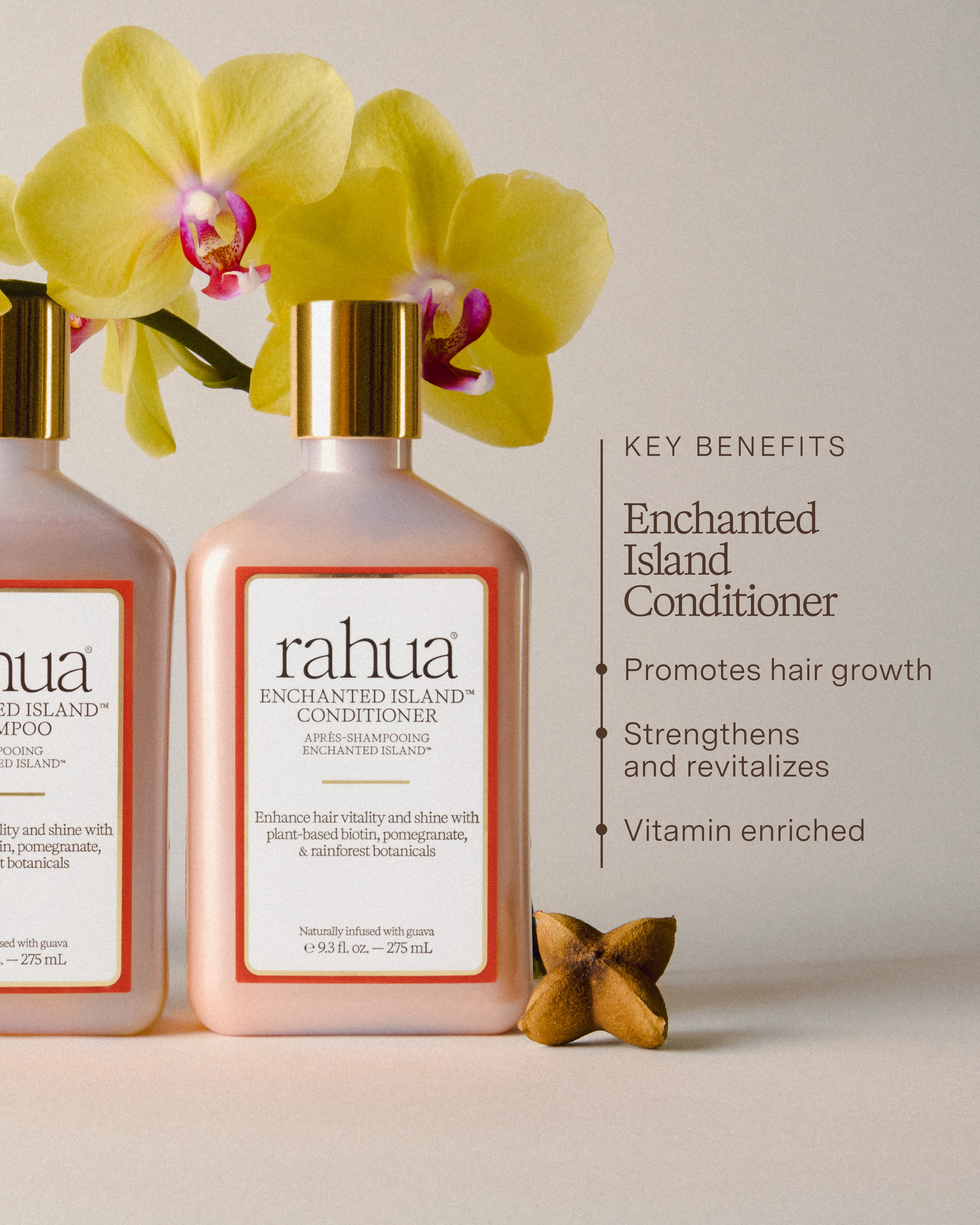 Enchanted Island™ Conditioner - Image 5
